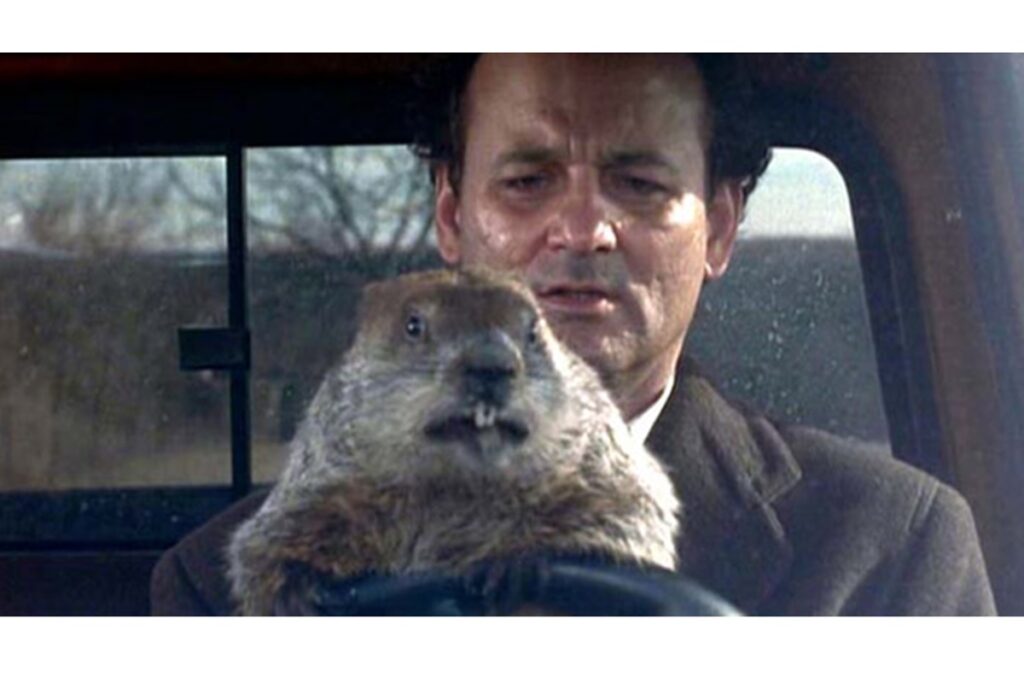 Fotograma de la película "El Día de la Marmota" con Bill Murray y la marmota, ilustrando la repetición y el cambio de perspectiva clave para el Coaching Social para salir del bucle.